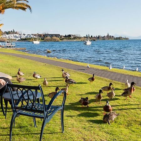 Oasis Beach Motel Taupo Eksteriør billede