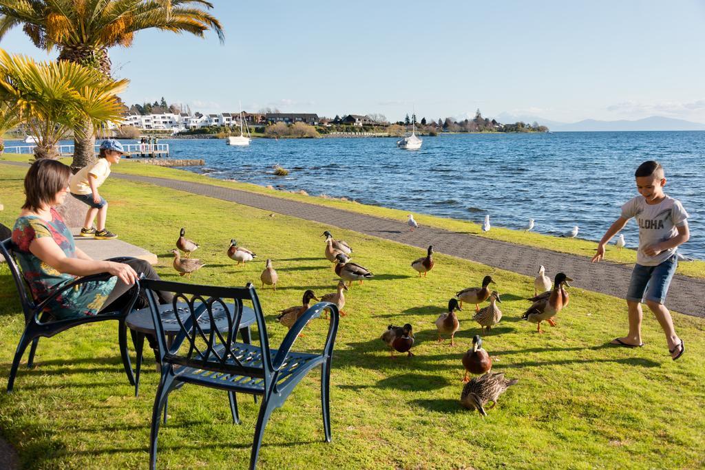 Oasis Beach Motel Taupo Eksteriør billede